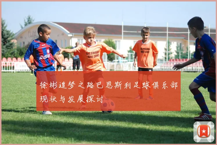 徐彬追梦之路巴恩斯利足球俱乐部现状与发展探讨
